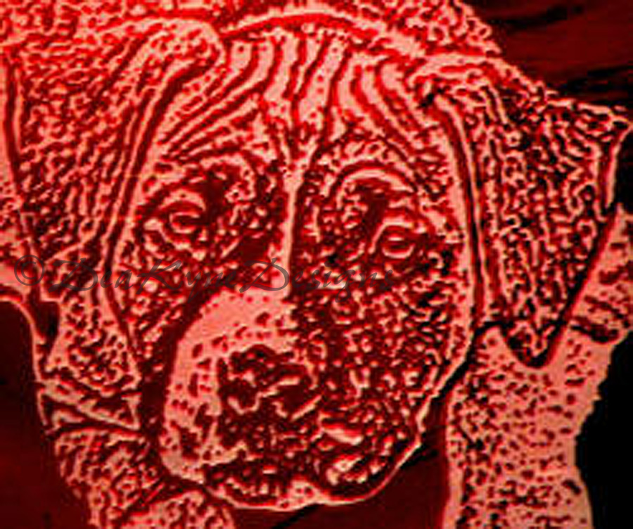 Penny Etched on Red Stained Glass, Amstaff